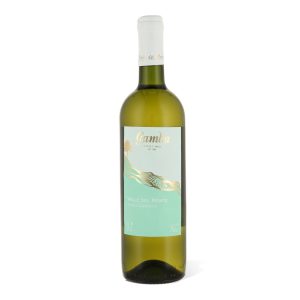 Blanco Torrontes